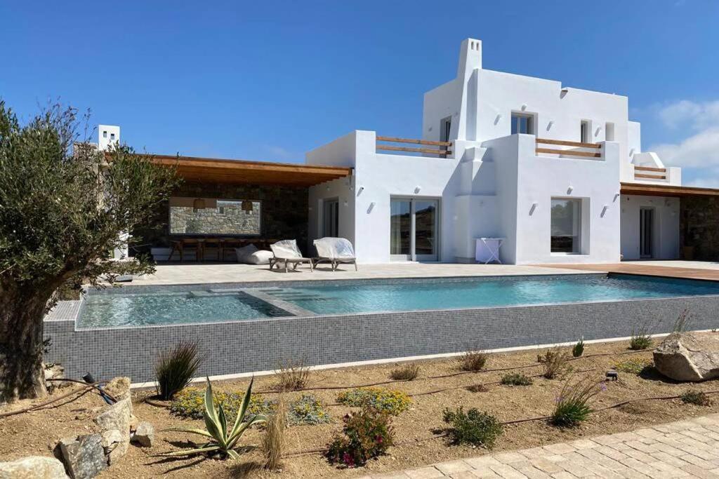 Blue Orchid Villa Mykonos 卡拉法蒂斯 外观 照片